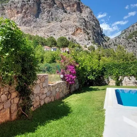Citrus Park Villas Villa
