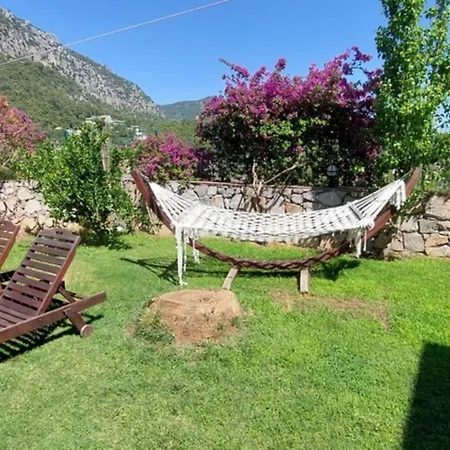 Citrus Park Villas Villa Fethiye