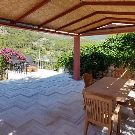 Citrus Park Villas Villa *